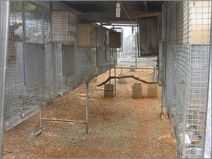 centro de cr&iacute;a