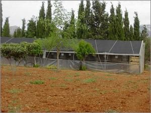 centro de cr&iacute;a