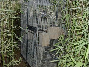 centro de cr&iacute;a