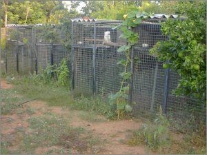 centro de cr&iacute;a