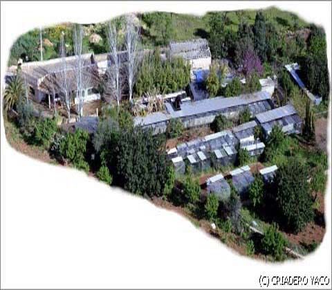 centro de cr&iacute;a