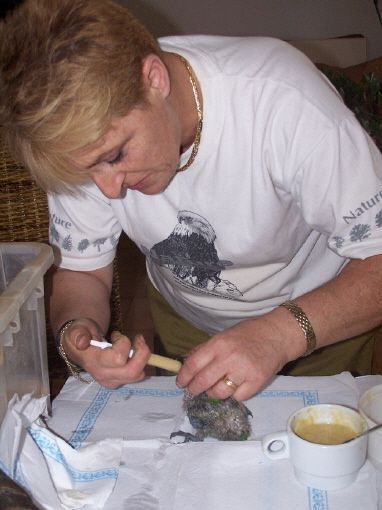 cria a mano de pichones