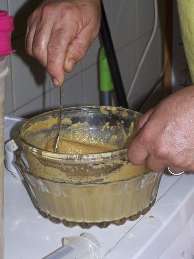 cria a mano de pichones