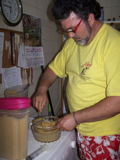 cria a mano de pichones